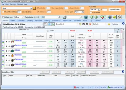 bet angel user guide|Betfair forum .